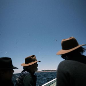 Titilaka By Andean